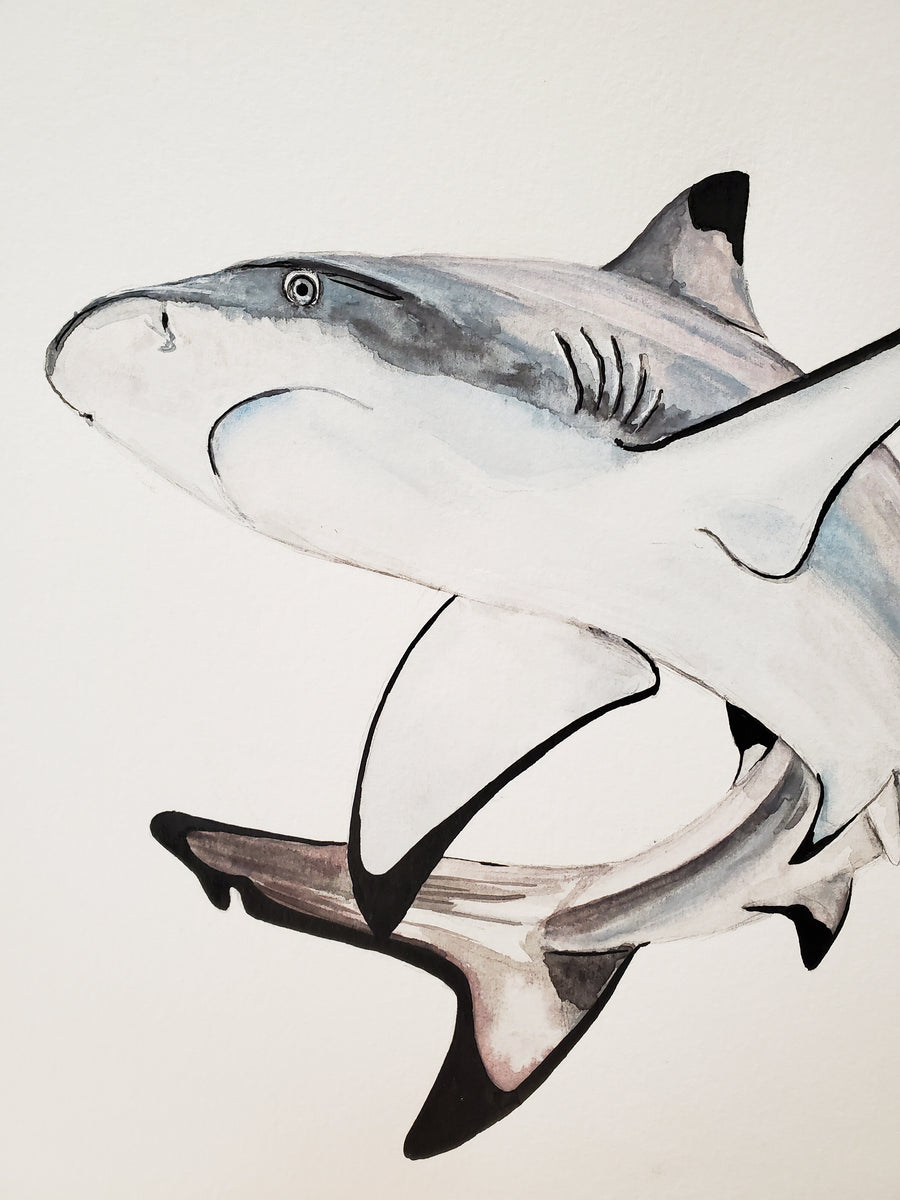 SHARK WEEK! Reef Shark Watercolor on Black