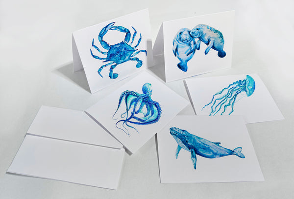 Blue Coastal Notecard Gift Set