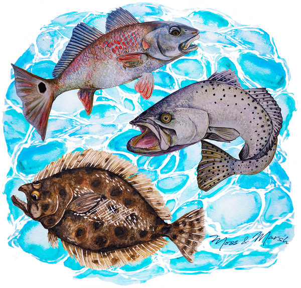 Fish UV Shirt - Adult