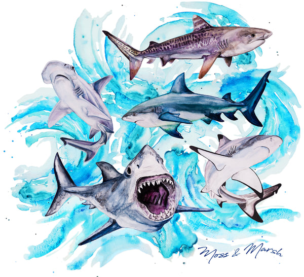 Shark UV Shirt - Adult