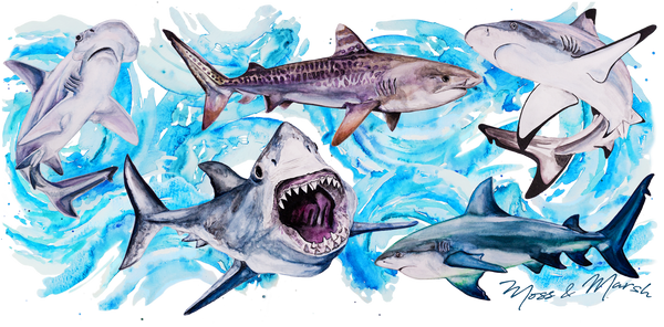 Shark Sippy Cup - Stainless Steel Watercolor