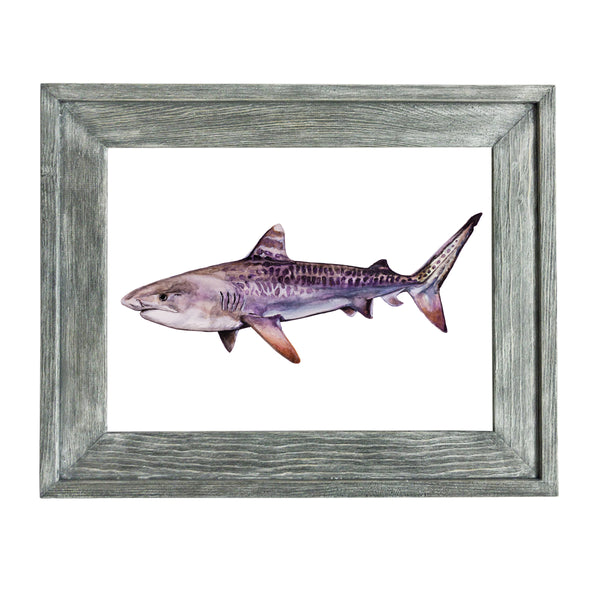Shark Painting Prints
