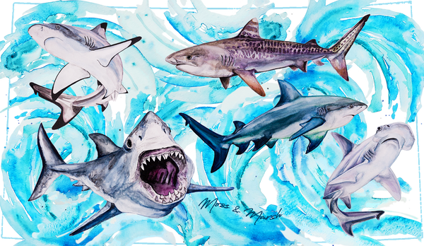 Shark Kids Water Bottle