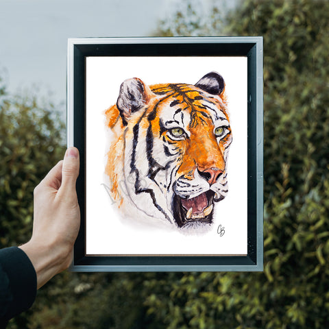 Tiger- Clemson University Collage Print
