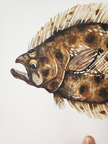 Flounder Original Watercolor Painting
