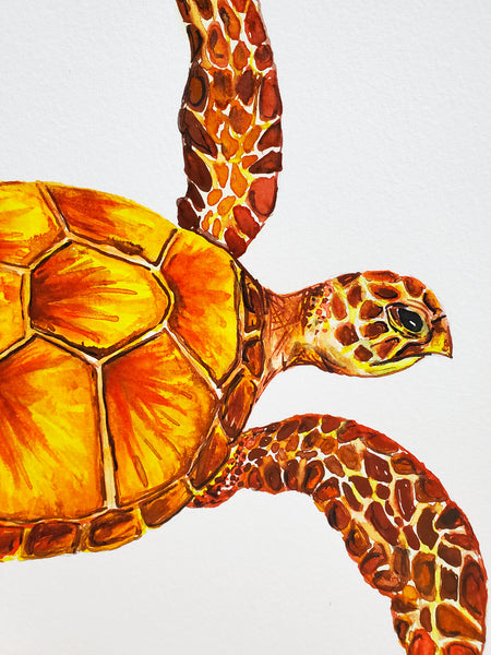 Sunny Sea Turtle Original Watercolor Painting