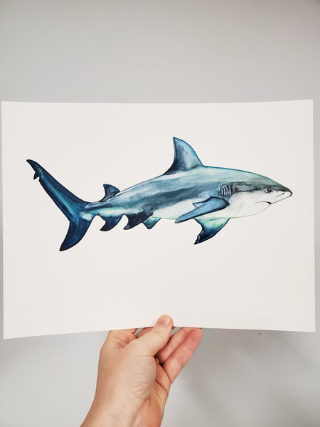 Bull Shark Original Watercolor Painting