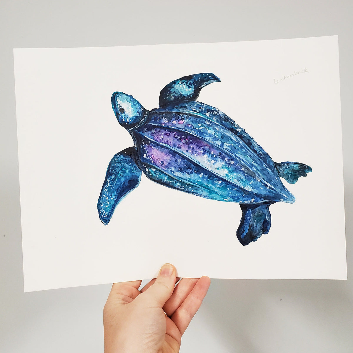 Leatherback Sea Turtle Original Watercolor Painting – Moss & Marsh