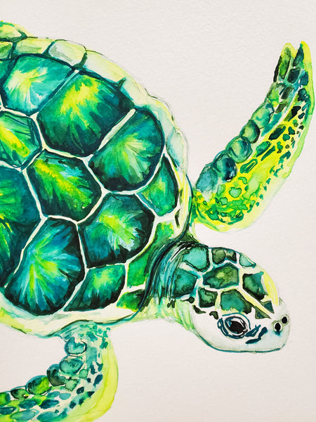 Kemp Sea Turtle Original Watercolor Painting