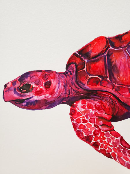Loggerhead Sea Turtle Original Watercolor Painting