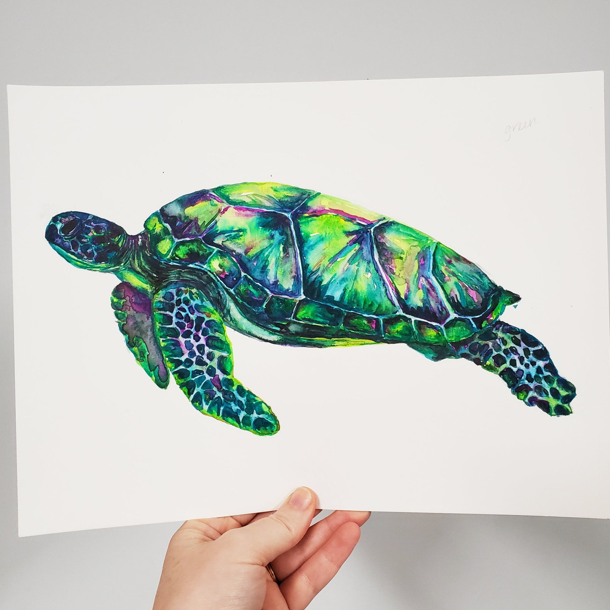 Sea Turtles Hand Drawn Doodle Illustration Marina Life Stock Illustration -  Download Image Now - iStock
