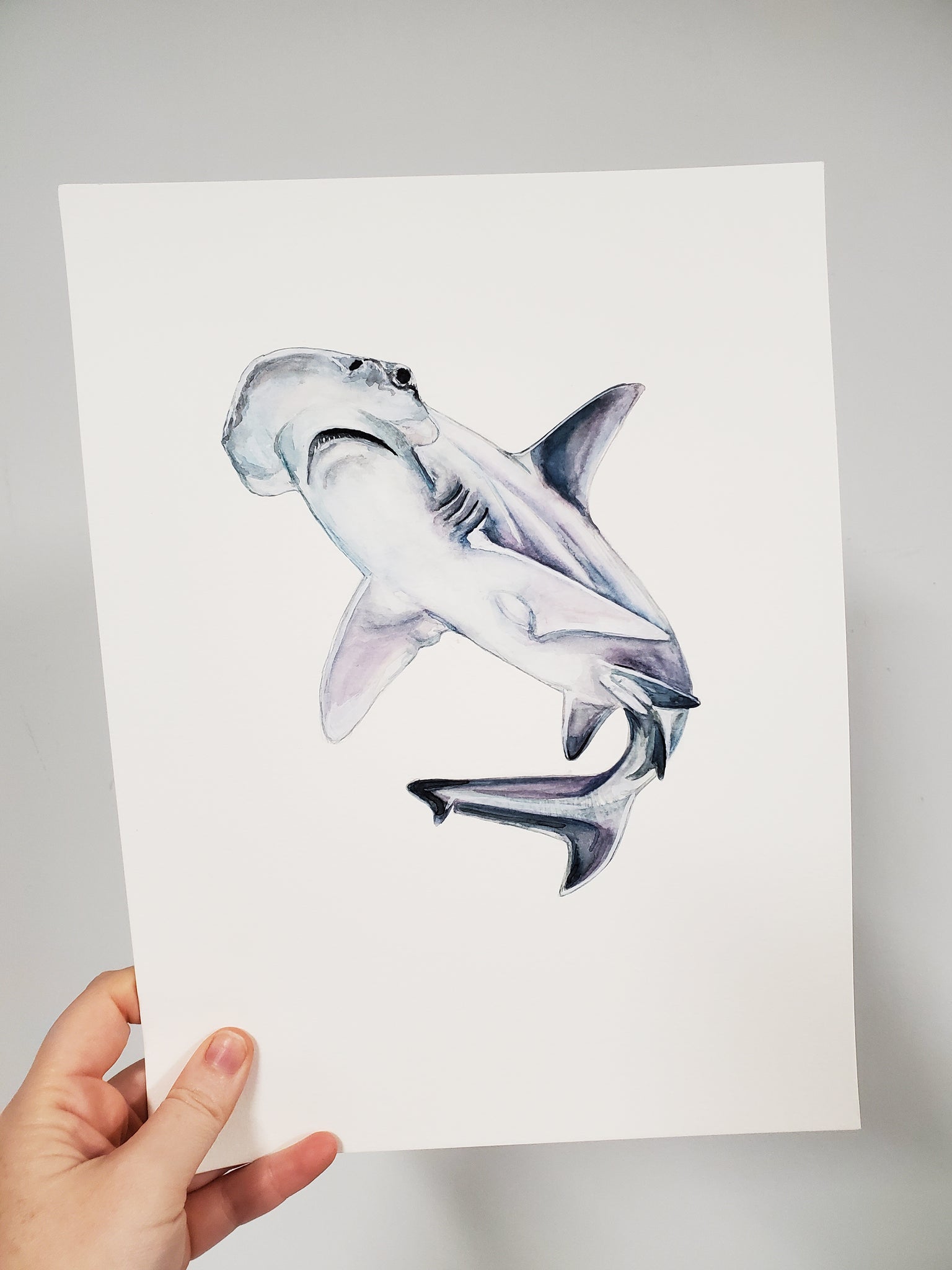 Bonnethead Shark Original Watercolor Painting
