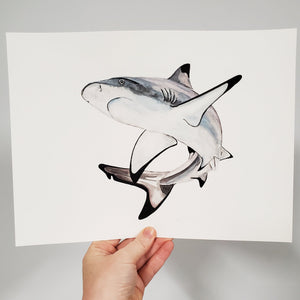 Black Tip Shark Original Watercolor Painting