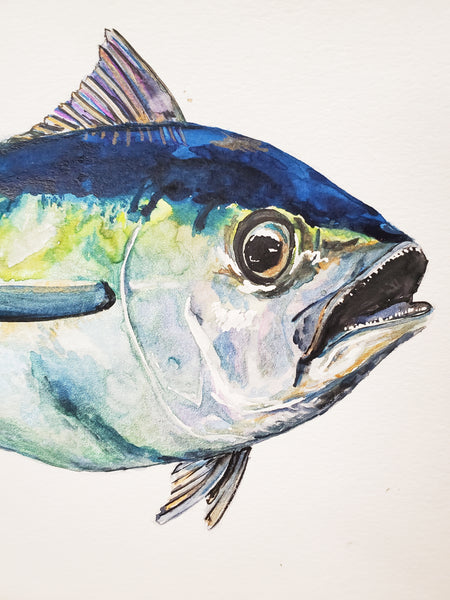 Tuna Original Watercolor Painting