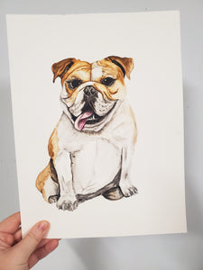English Bulldog Original Watercolor Painting