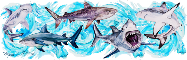 Shark Tumblers - Stainless Steel Watercolor