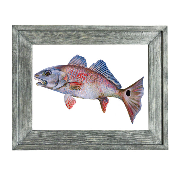 Savannah Slam Fish Painting Prints