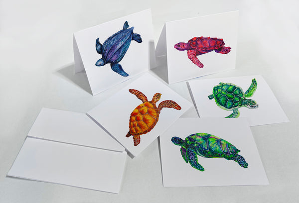 Turtle Notecard Gift Set
